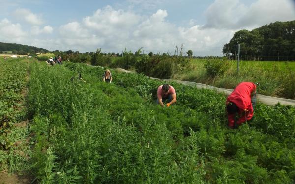 Leveste: Solidarische Landwirtschaft