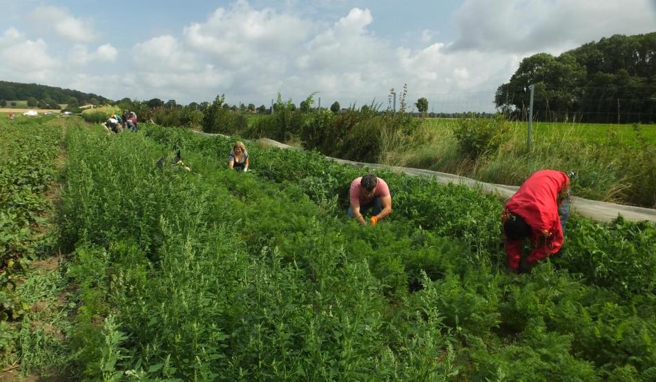 Leveste: Solidarische Landwirtschaft