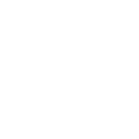 Flächenentwicklung